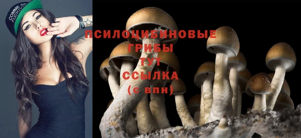 меф Краснослободск