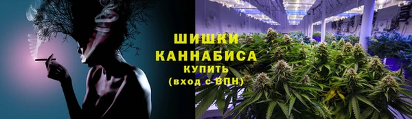 шишки Краснотурьинск
