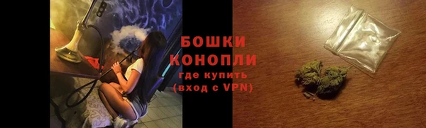 шишки Краснотурьинск