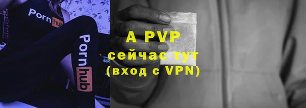 шишки Краснотурьинск